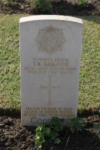 Ismailia War Memorial Cemetery - Gascoyne, Thomas Harold